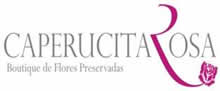 \\Camserver\documentos usuarios\Economia\Proyectos\Franquicias\Proyecto Franquicias\Consultorias\Componente 3\Proceso estructuración franquicias\datos  para portal\2013\Caperucita Rosa\logo caperucita rosa.jpg